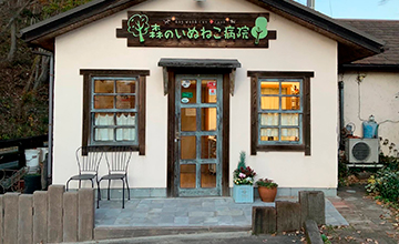 サムネール画像