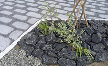 サムネール画像