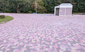 サムネール画像